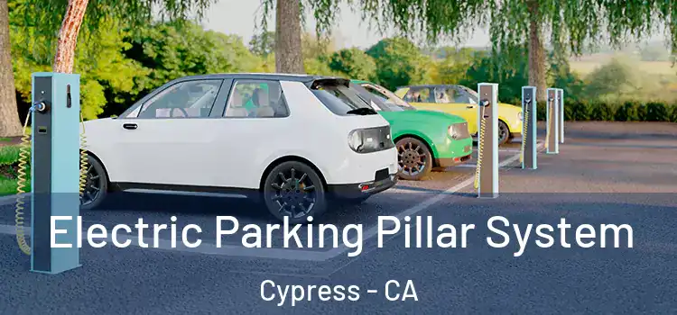 Electric Parking Pillar System Cypress - CA