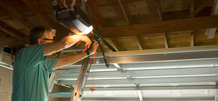 Garage Door Opener Sales and Installation Cypress